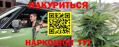 амф Камень-на-Оби
