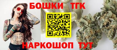 амф Камень-на-Оби