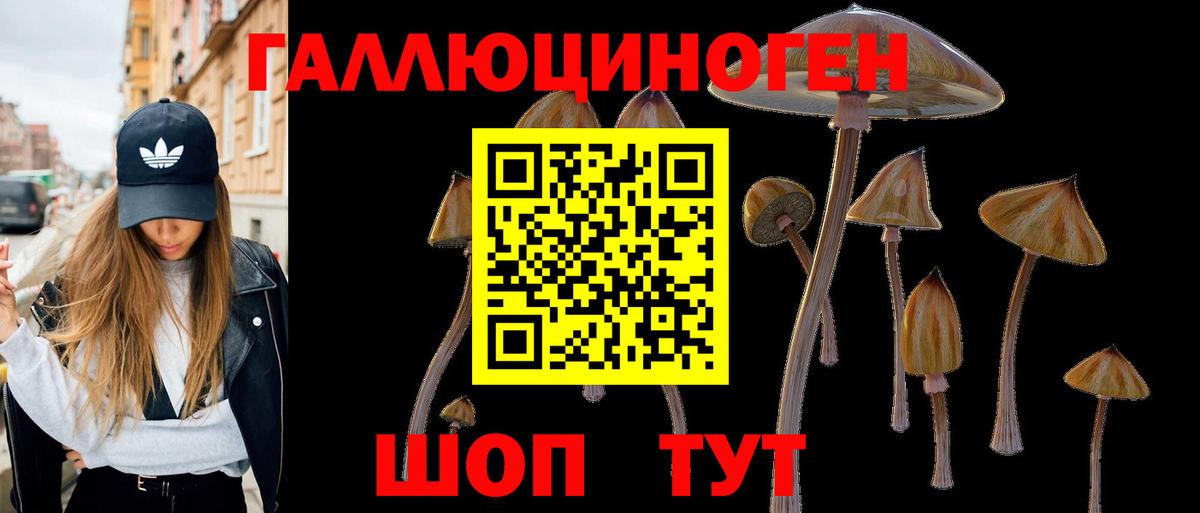 Лобня  Псилоцибиновые грибы GOLDEN TEACHER  Вход с VPN  Псилоцибиновые грибы мицелий 